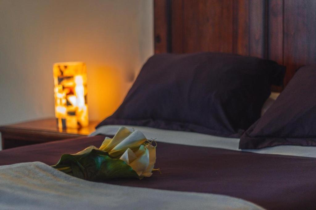 Cortijo La Casona & Bungalow Al Pie De La Montana San Cristóbal de Las Casas Zewnętrze zdjęcie
